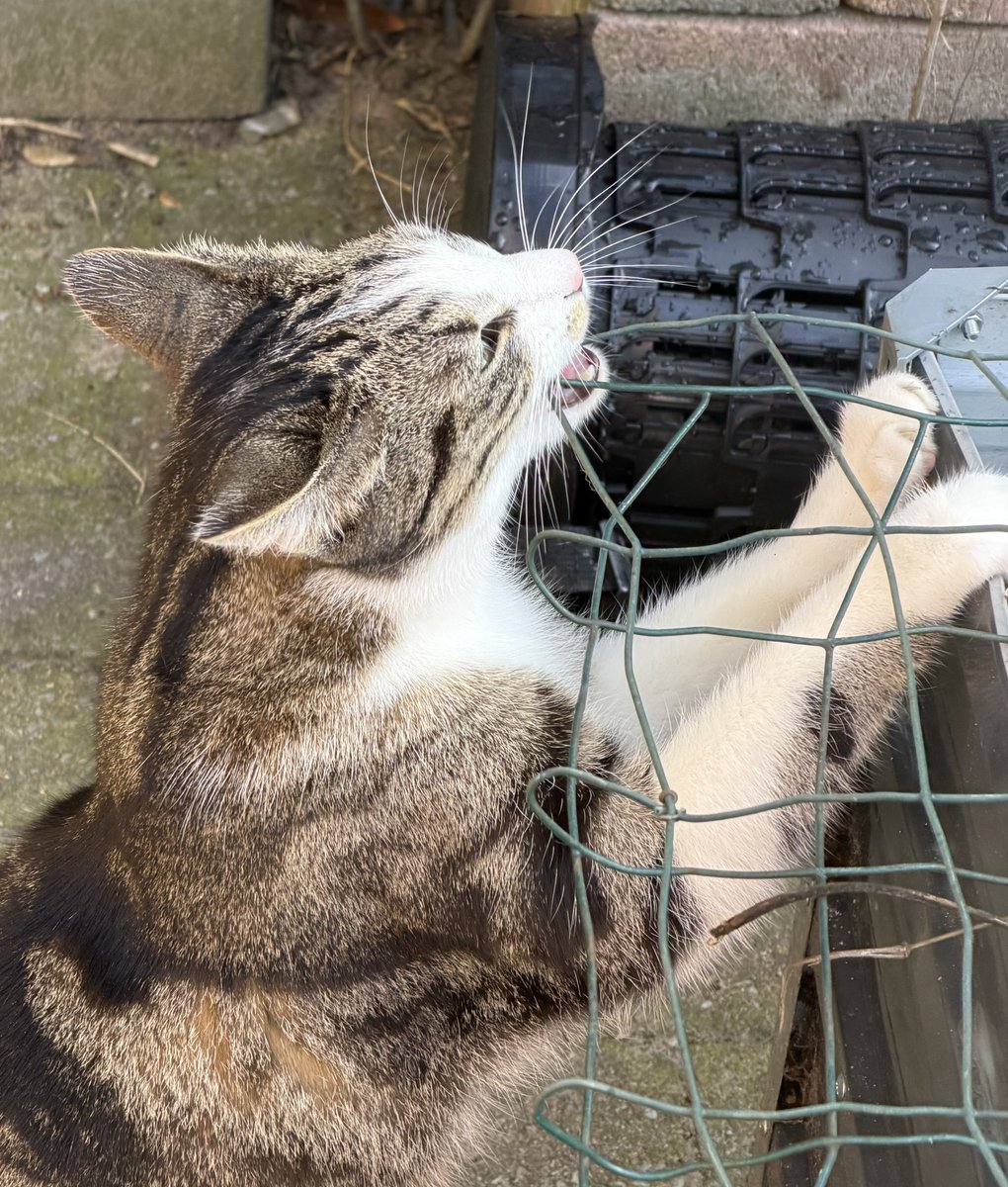 Josan✨ tweet media