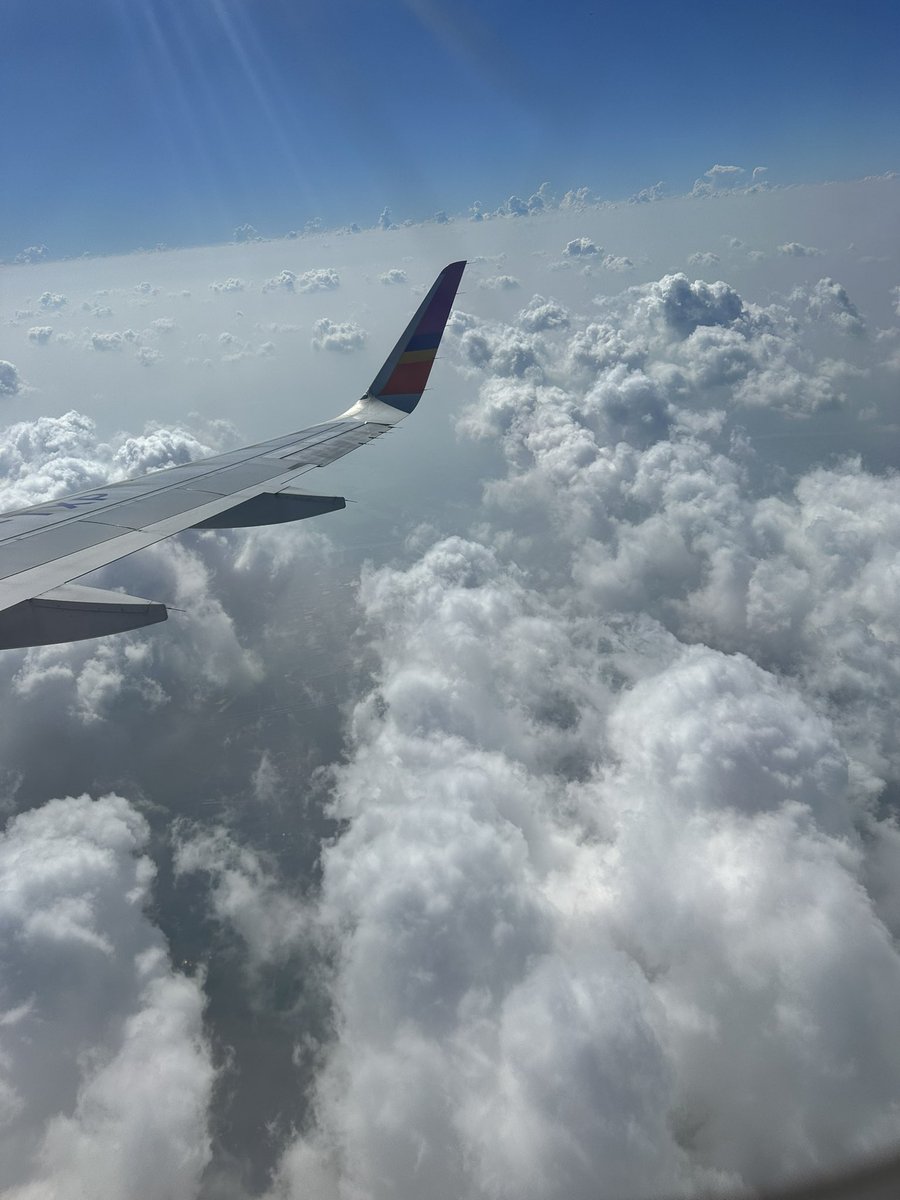 State_Flush V2🃏 || VtuberTH || (แอคเก่าโดนแบน) tweet media