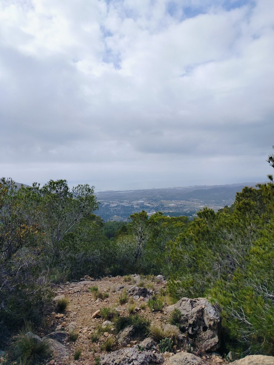 Natalia Velázquez. tweet media