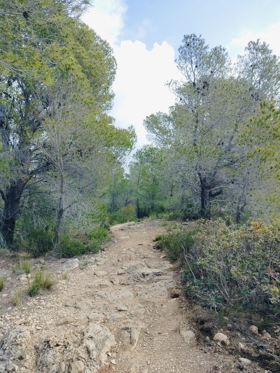 Natalia Velázquez. tweet media