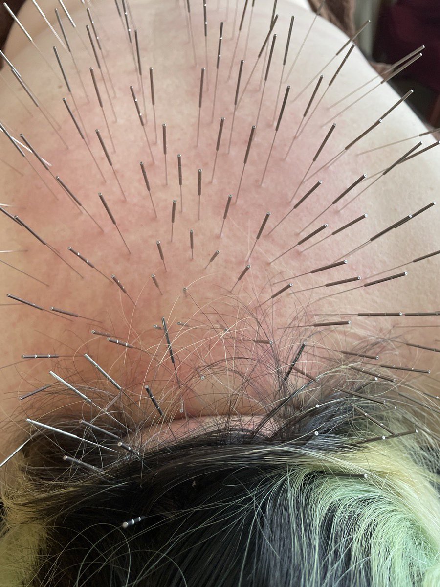 ただのわえ ﾊｯﾋﾟｰﾃﾛﾘｽﾄ tweet media