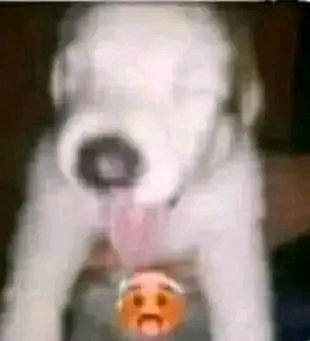 Josh433172's tweet photo. @francyart34 Mi cara cuando ya veo esto https://t.co/7aMw394K0w