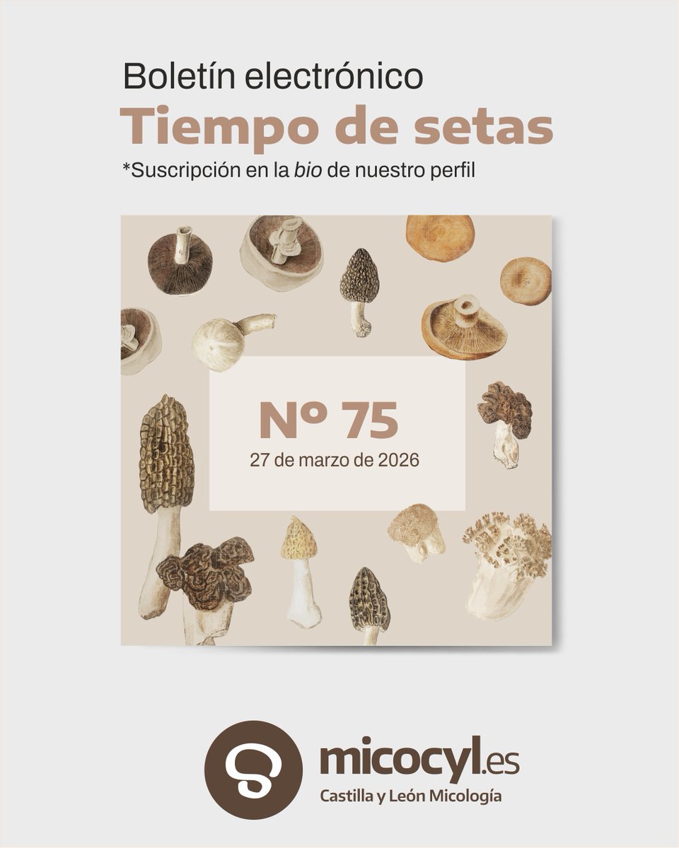 Programa Micocyl tweet media