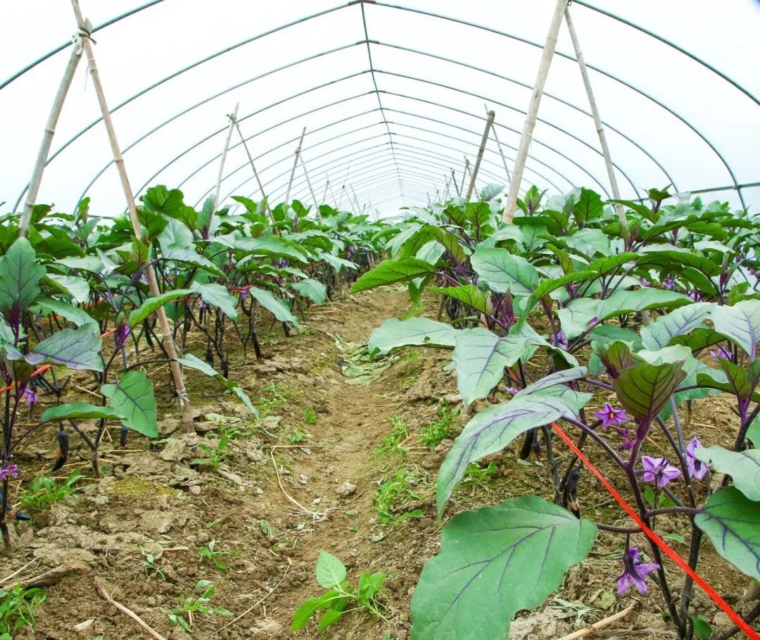 bonkungou wendyam tweet media