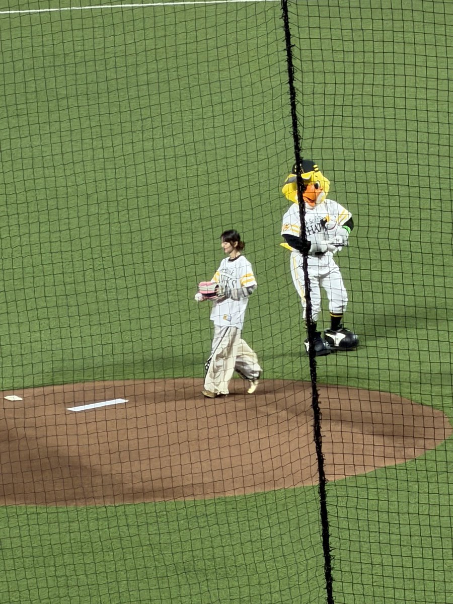 Ken31260's tweet photo. 齋藤飛鳥めちゃくちゃ小さいし
可愛いかった
#ホークス 
#ソフトバンクホークス 
#paypayドーム 
#齋藤飛鳥 https://t.co/ydjnwXuwLa