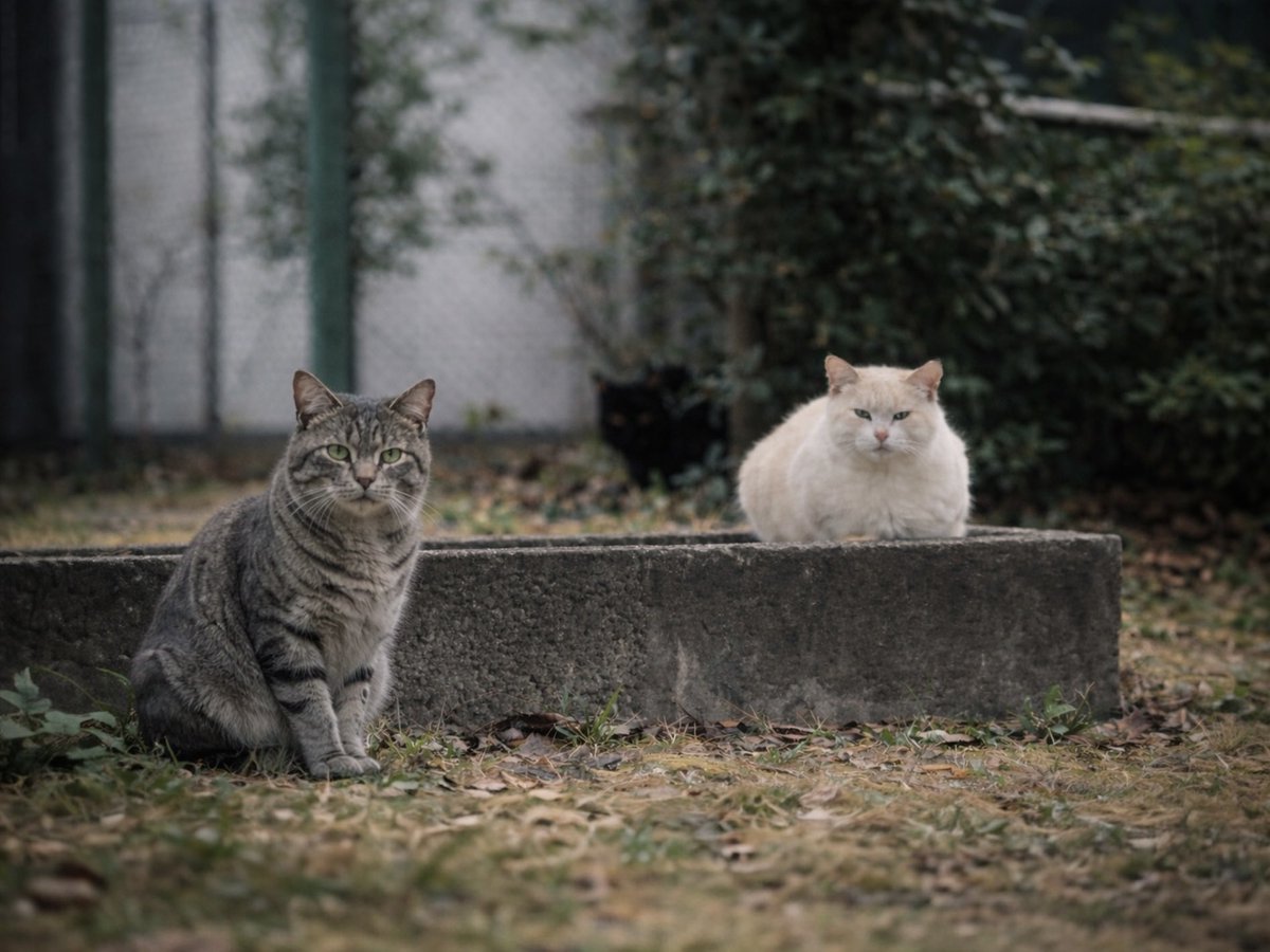 さぐっちゃん tweet media