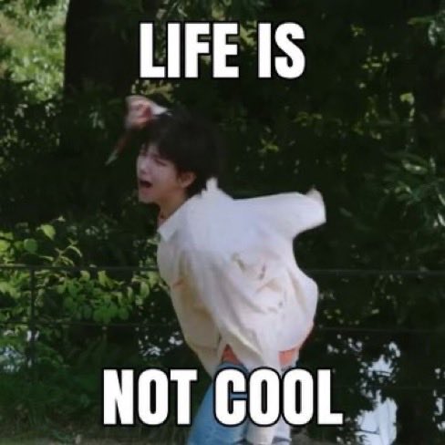 𝙎𝙇𝙊𝙒 Mint. tweet media