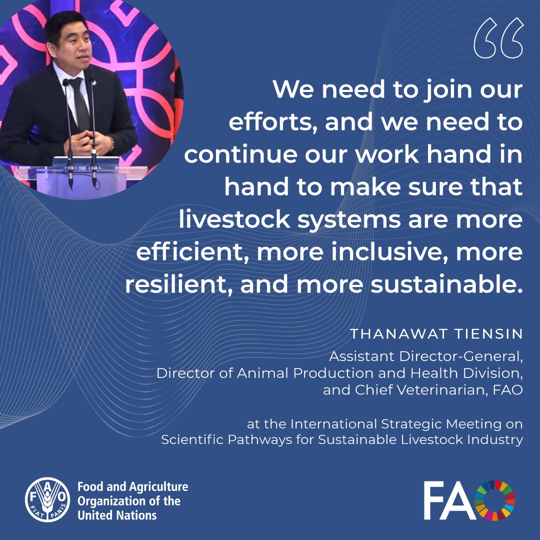 FAOLivestock's tweet photo. Livestock systems are deeply interconnected.

From farmers and processors to scientists and policymakers, all play a role.

Achieving #SustainableLivestock transformation demands a common vision, shared responsibility, and holistic solutions. https://t.co/IcGdJJ610x