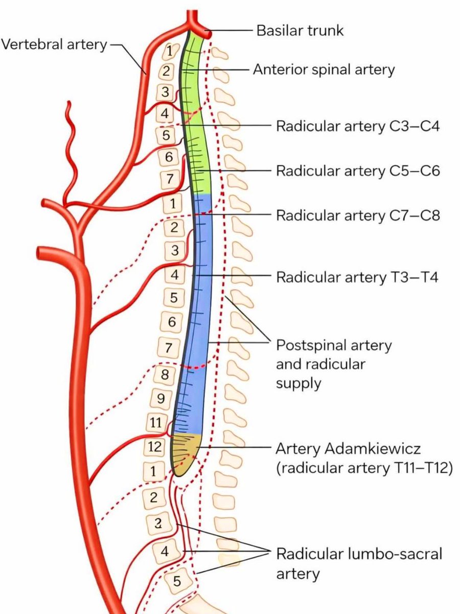 Seraj Ajaj tweet media