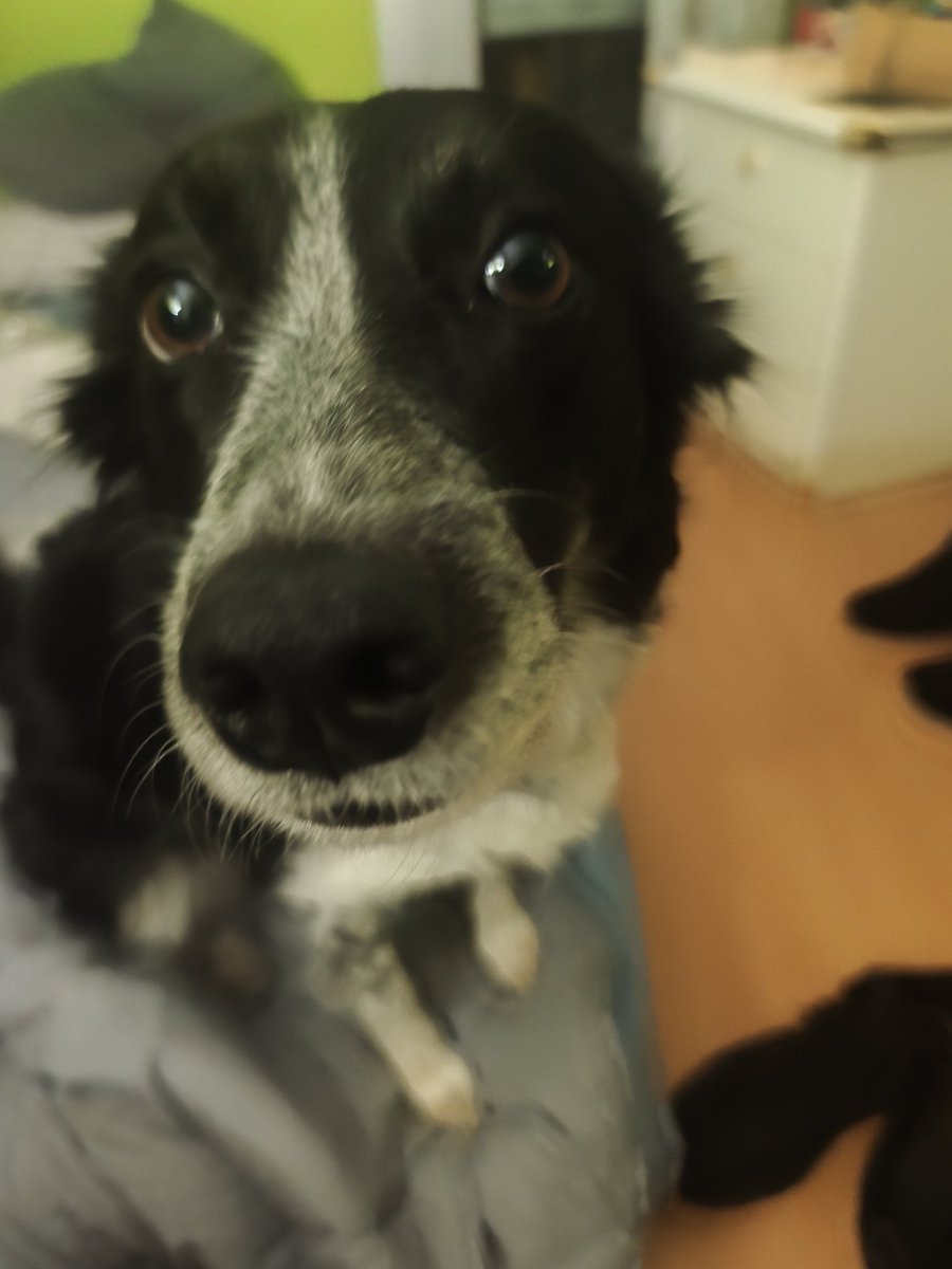 Simon Brand tweet media