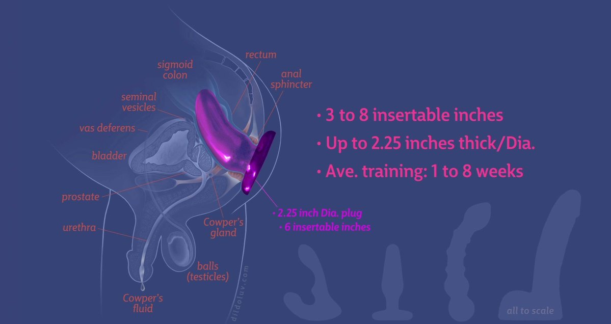 NOR3STR8NT tweet media