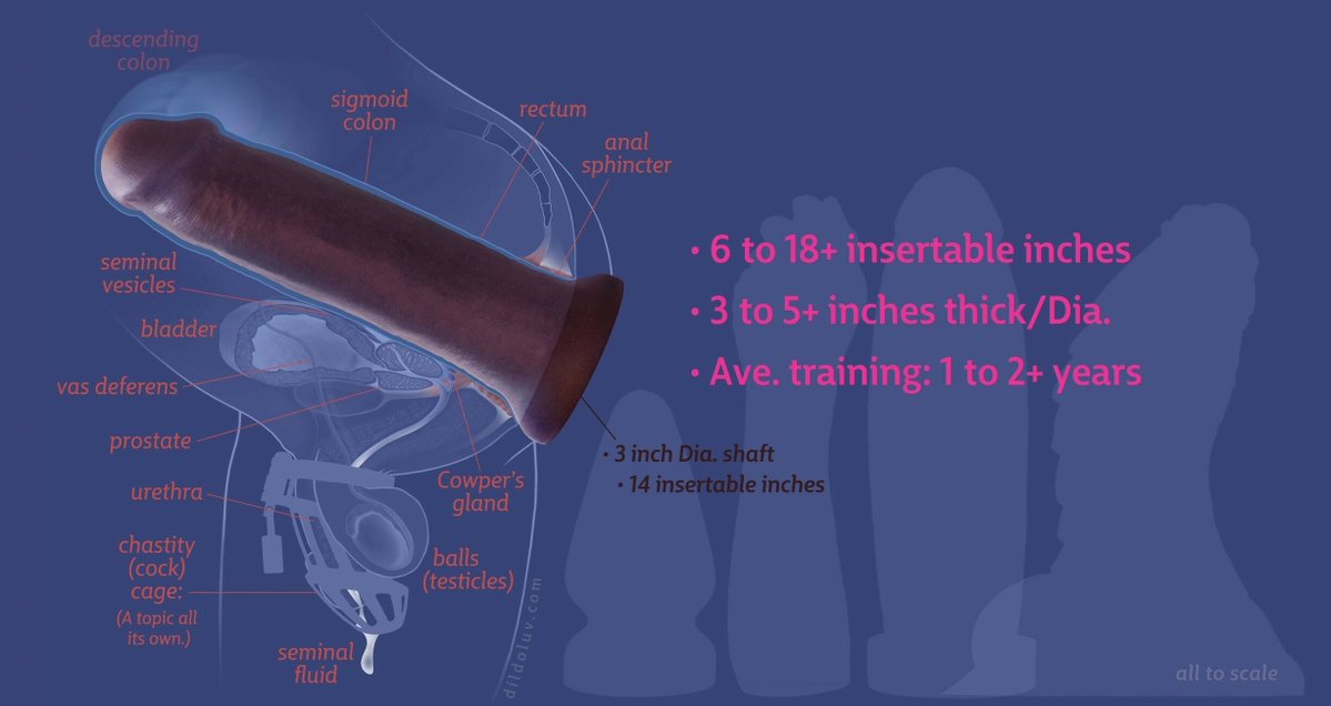 NOR3STR8NT tweet media