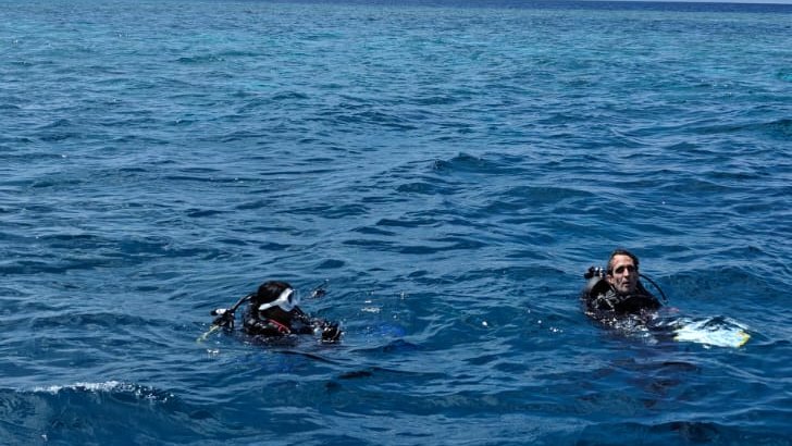 Turqoise Lab tweet media