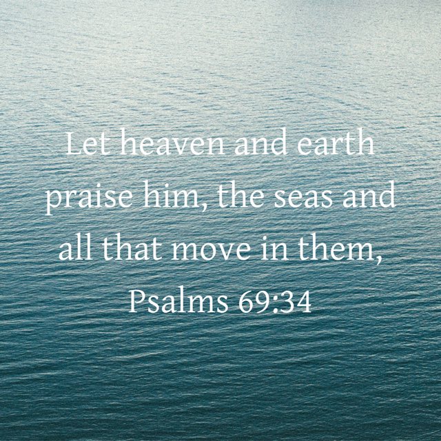 J. W. Lee tweet media