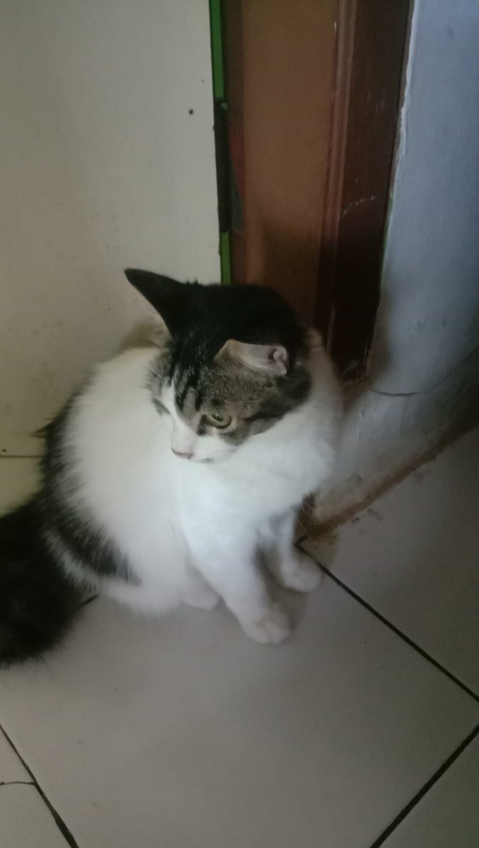 Derisa 🇵🇸 tweet media