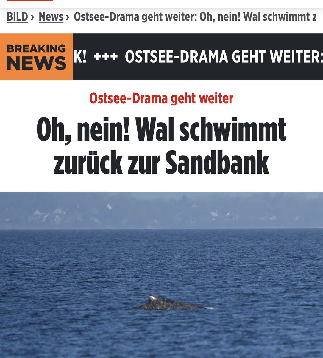 Andreas Niesmann tweet media