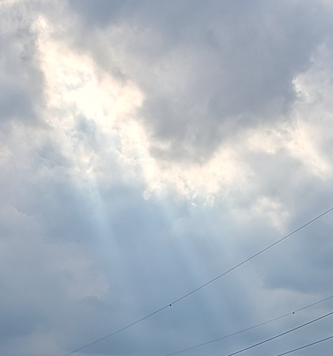 MushrooM_halos's tweet photo. 最近ハロも虹も無いですなぁ…

#今日の空模様 https://t.co/x3dMyY4upT