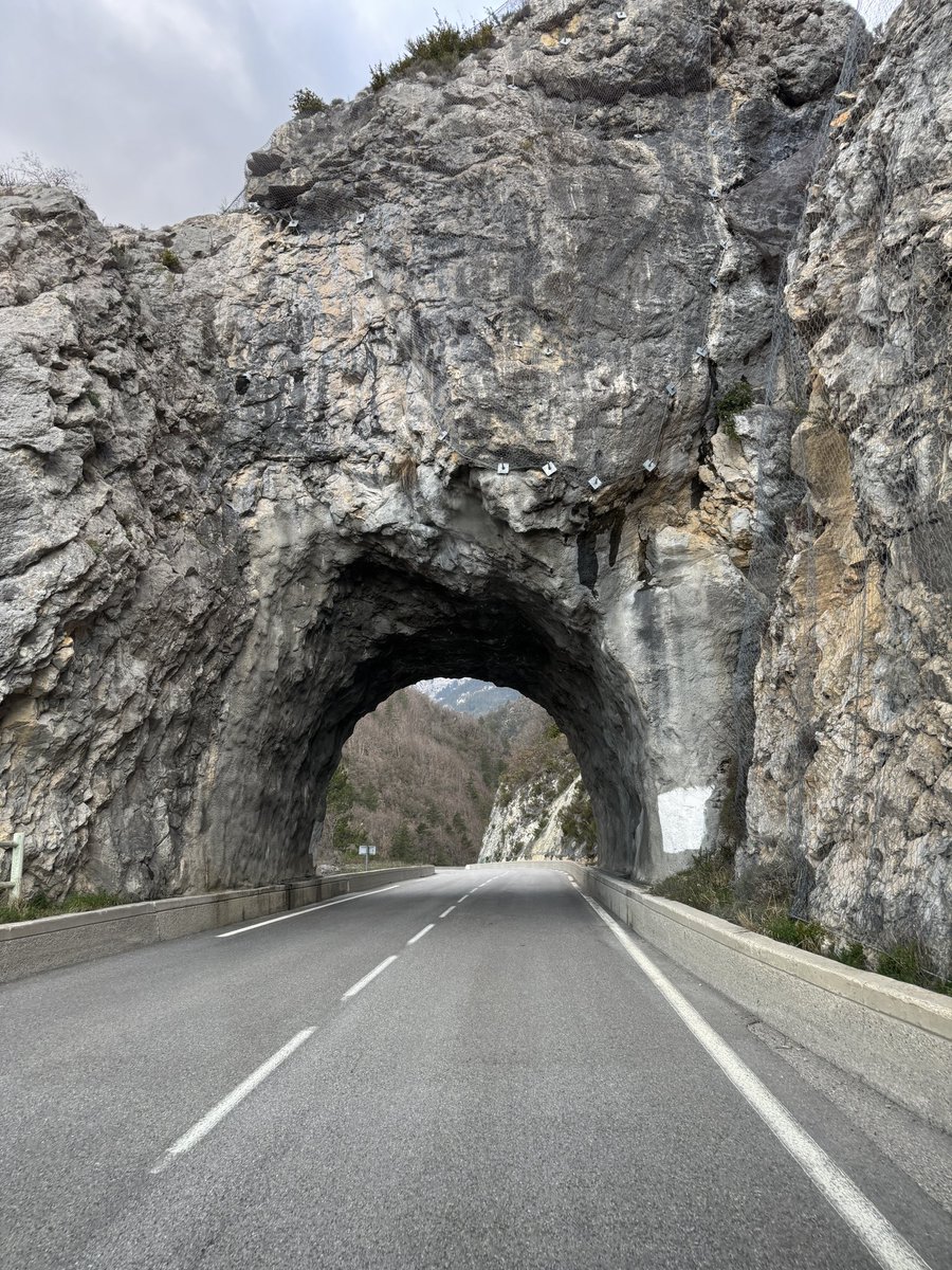 Robert Rowe tweet media