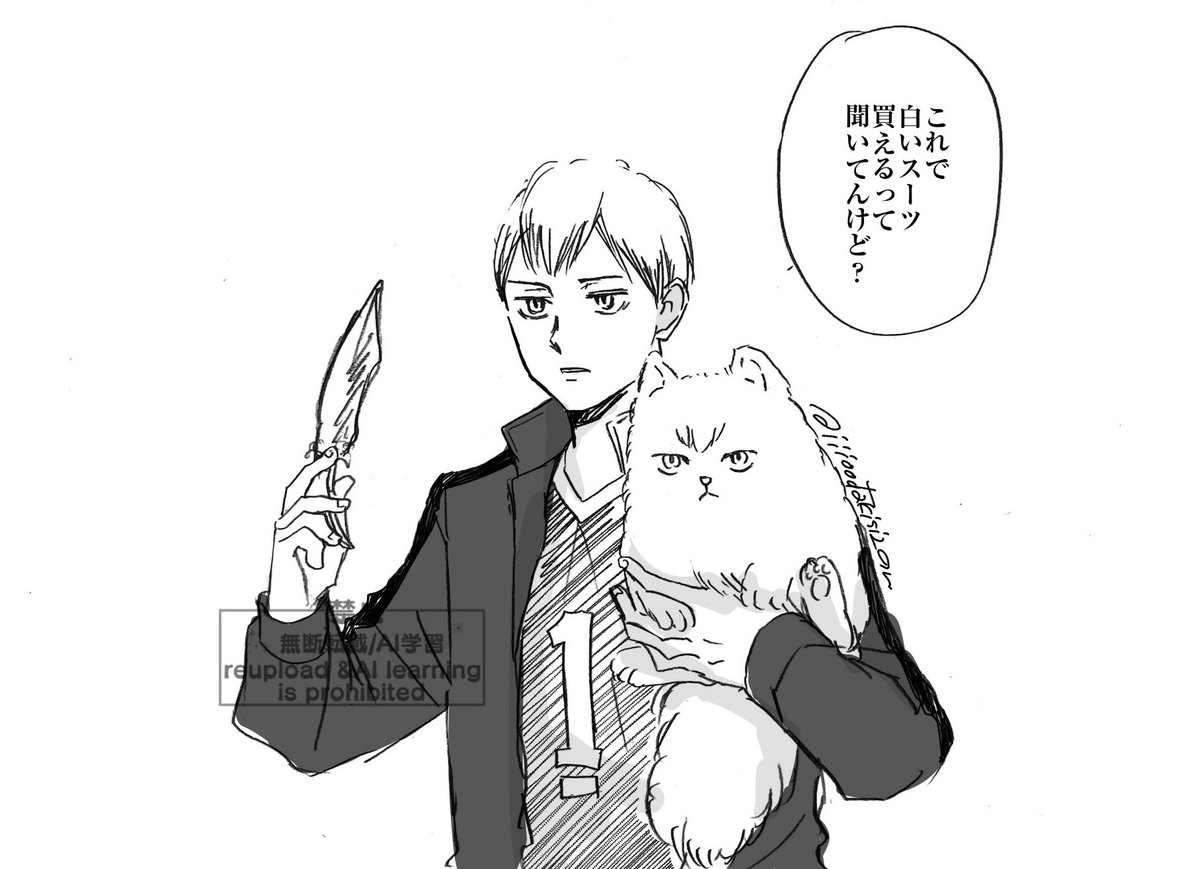 ミリしらはいどりキタさん🪽 