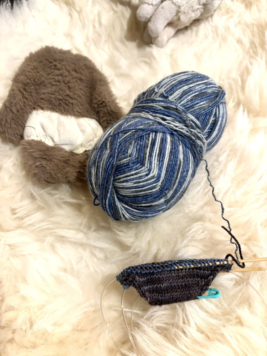 ℍ𝕚𝕣𝕠𝕞𝕚 𝕊𝕜𝕪𝕨𝕒𝕝𝕜𝕖𝕣 tweet media