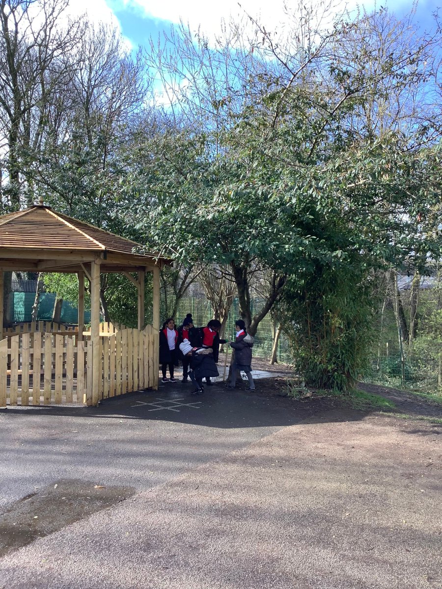 Brackenhill Primary School tweet media