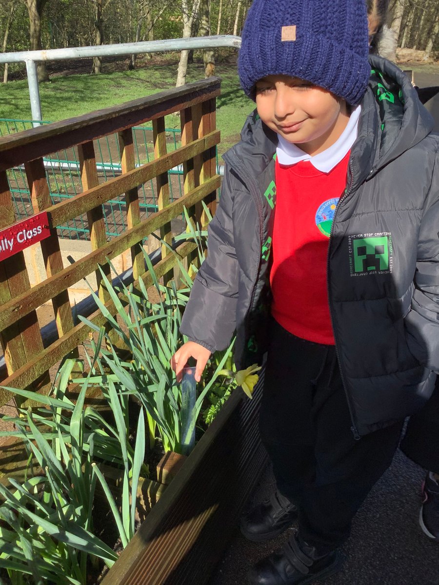 Brackenhill Primary School tweet media