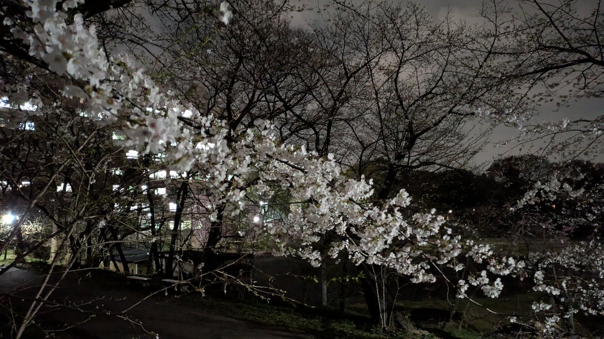 тасата tweet media