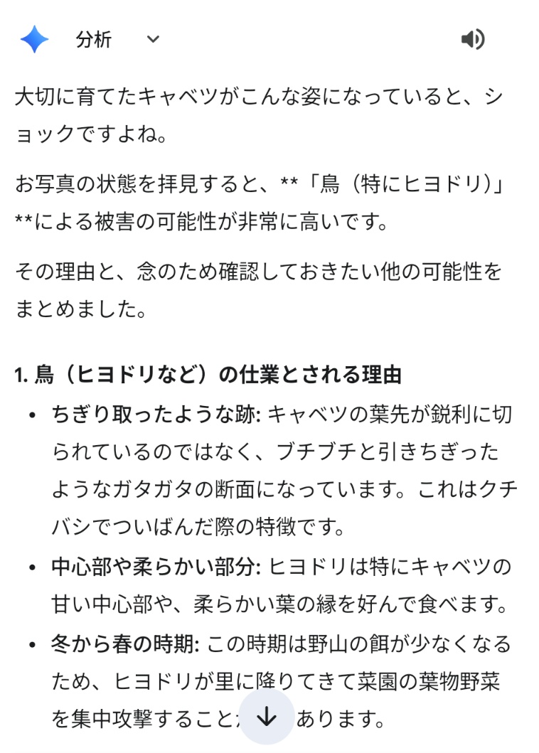 しまど/simadjp tweet media