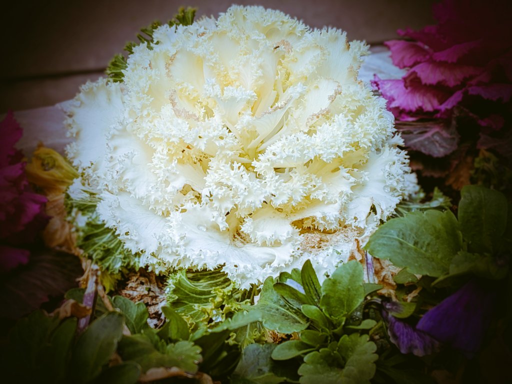 chi 💕 tweet media