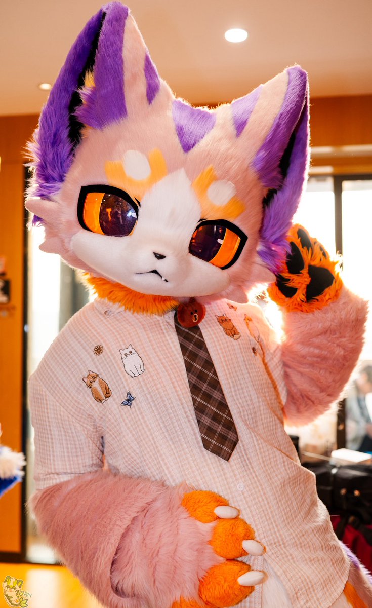 碳丸·炭まる🐟 tweet media