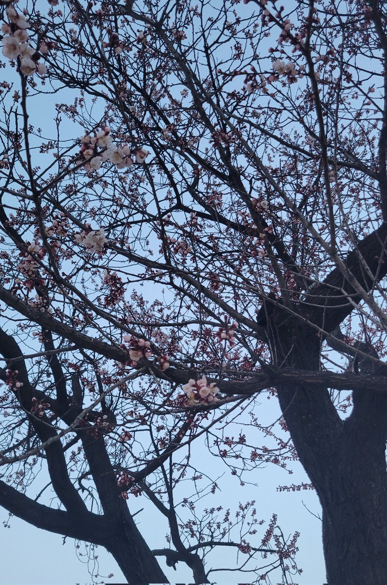 미니0ㅇ0 tweet media