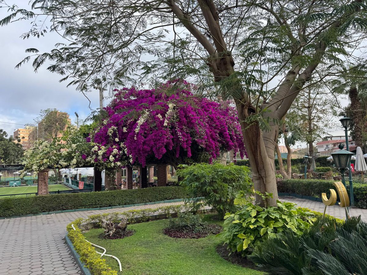 Von Breezy tweet media