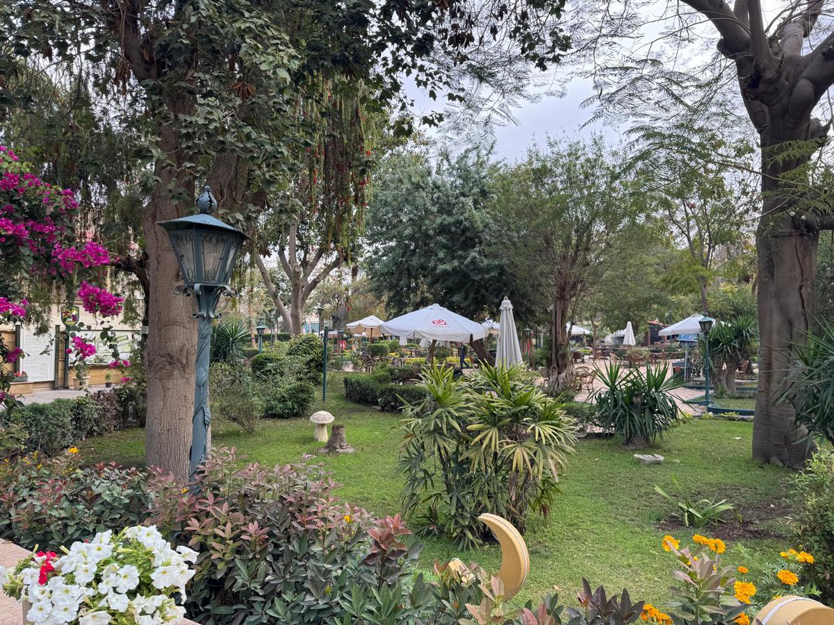 Von Breezy tweet media