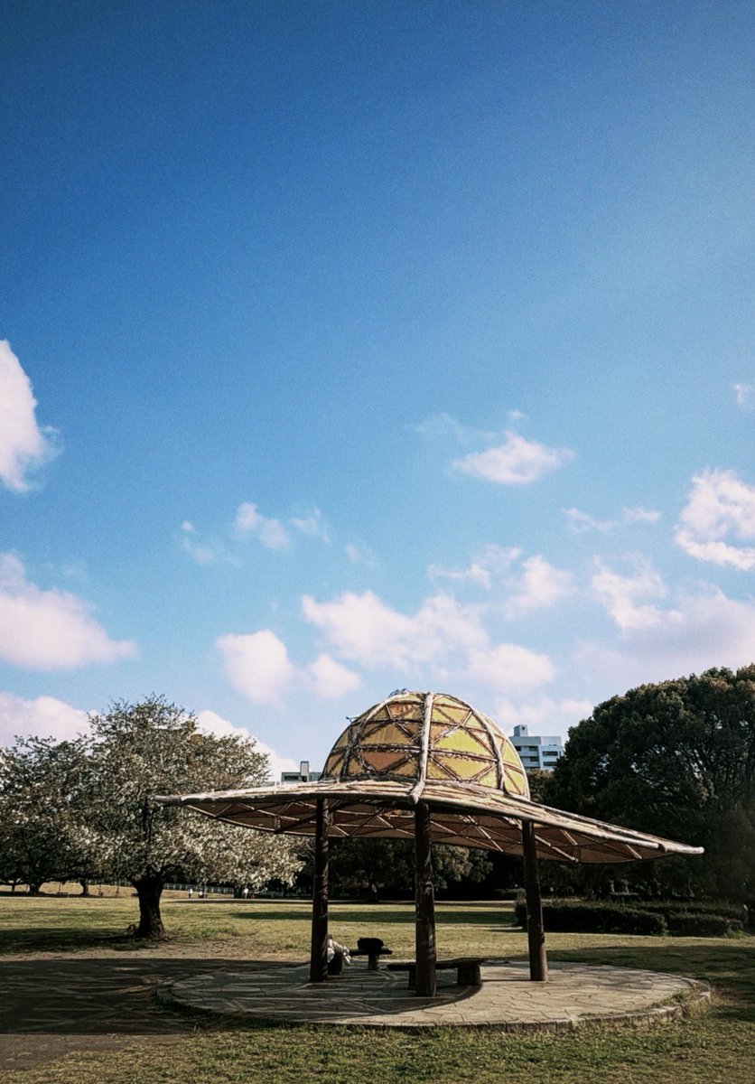 星瀬 理桜💞🌷（ほしせ　りおん） tweet media