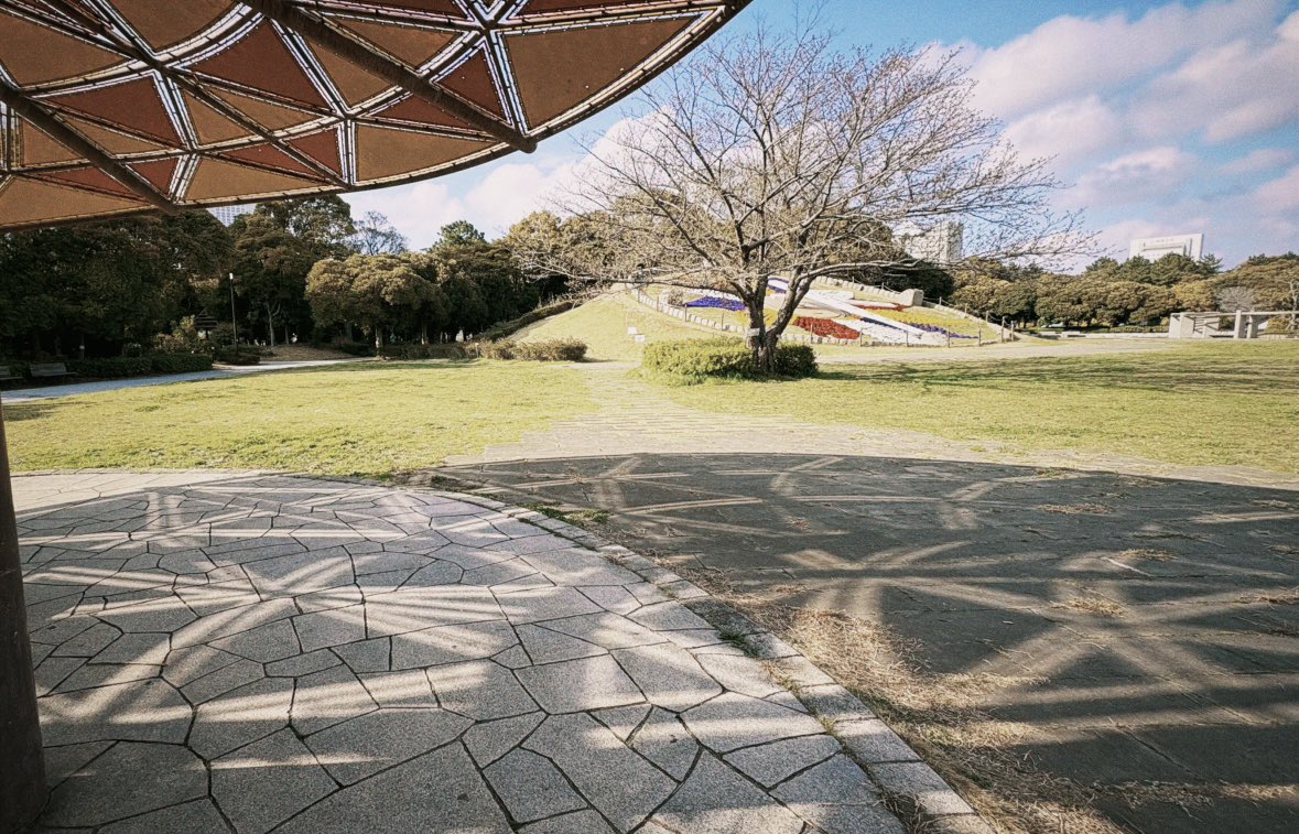 星瀬 理桜💞🌷（ほしせ　りおん） tweet media