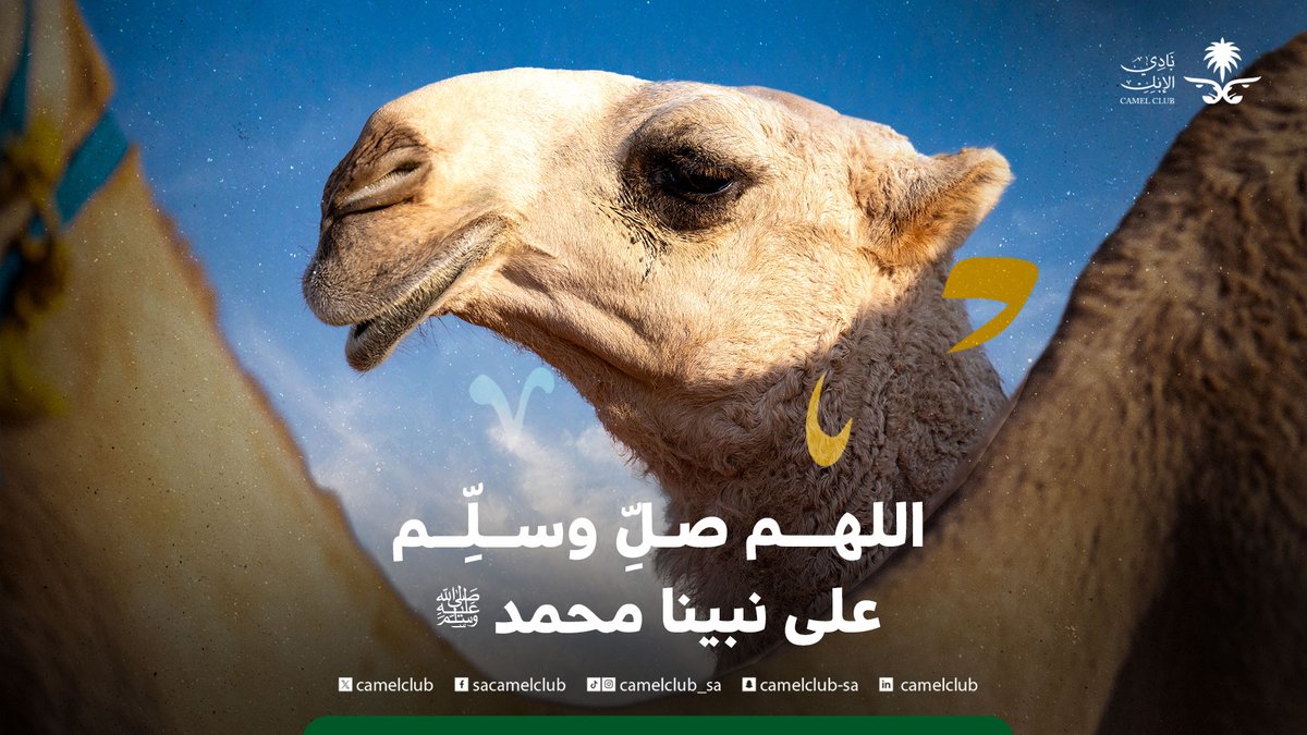 نادي الإبل tweet media