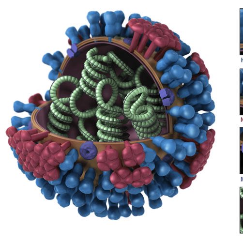 Paladin 🎖 tweet media