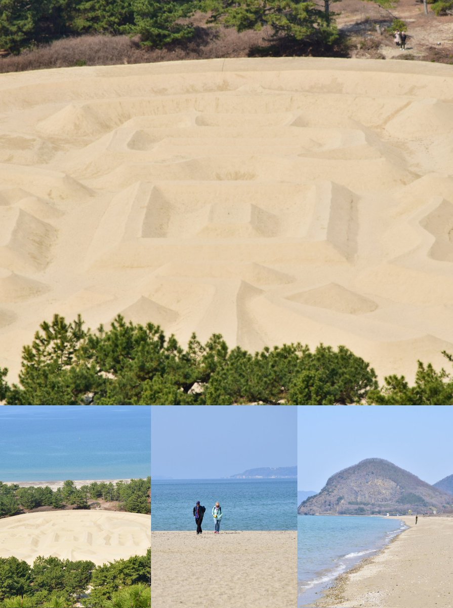 King Joe tweet media