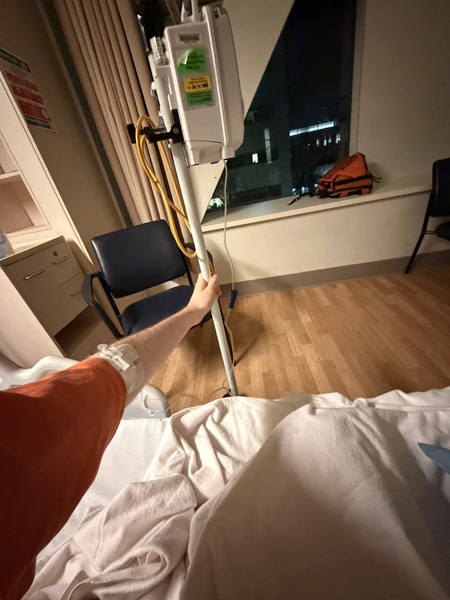 OneShotFox🇳🇿 tweet media