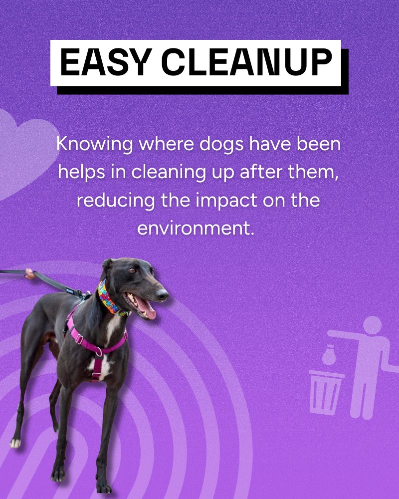 Greyhound Homing UK tweet media