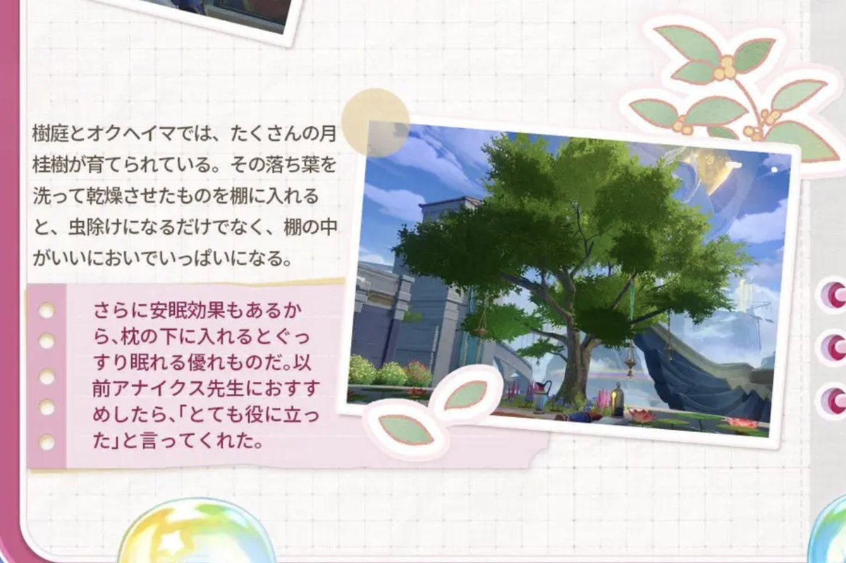 ♡もものくり〜む♡ tweet media