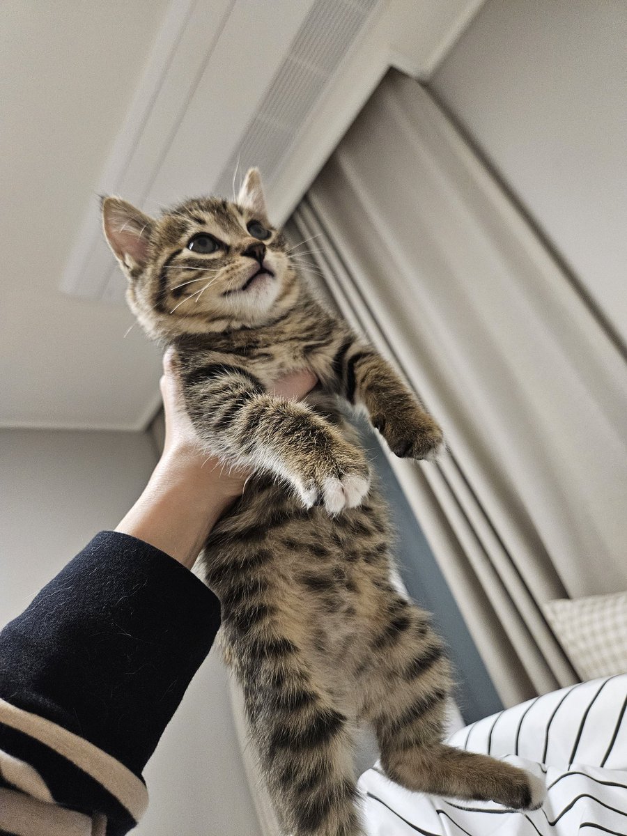 새우깡💙 tweet media