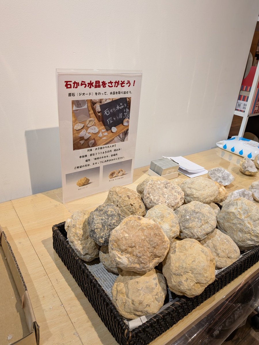 株式会社東京サイエンス tweet media