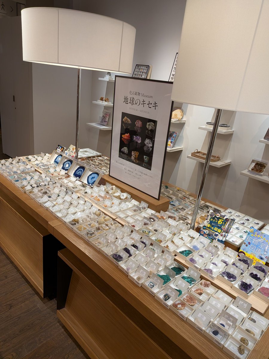 株式会社東京サイエンス tweet media