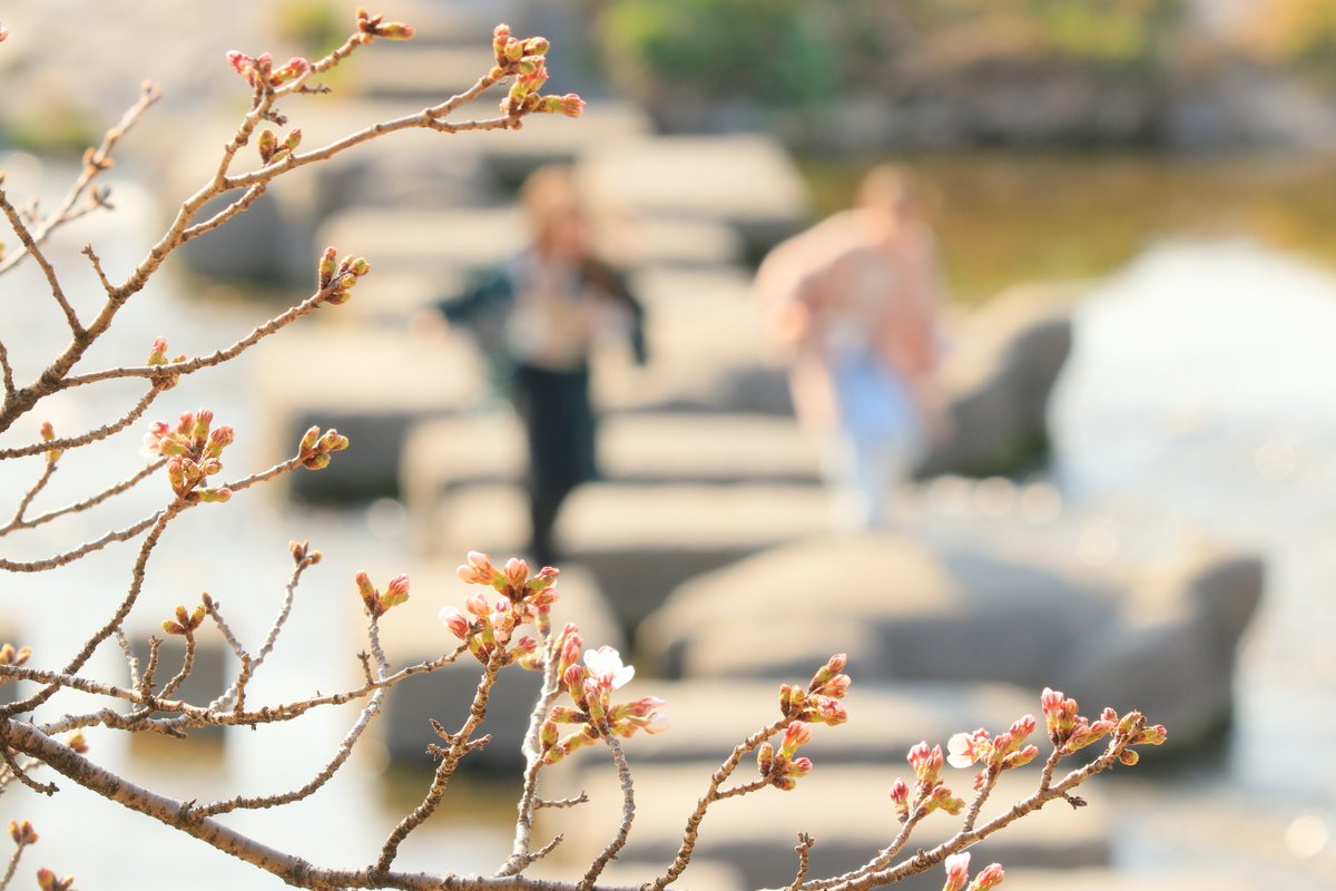 ryoooooka1022 tweet media