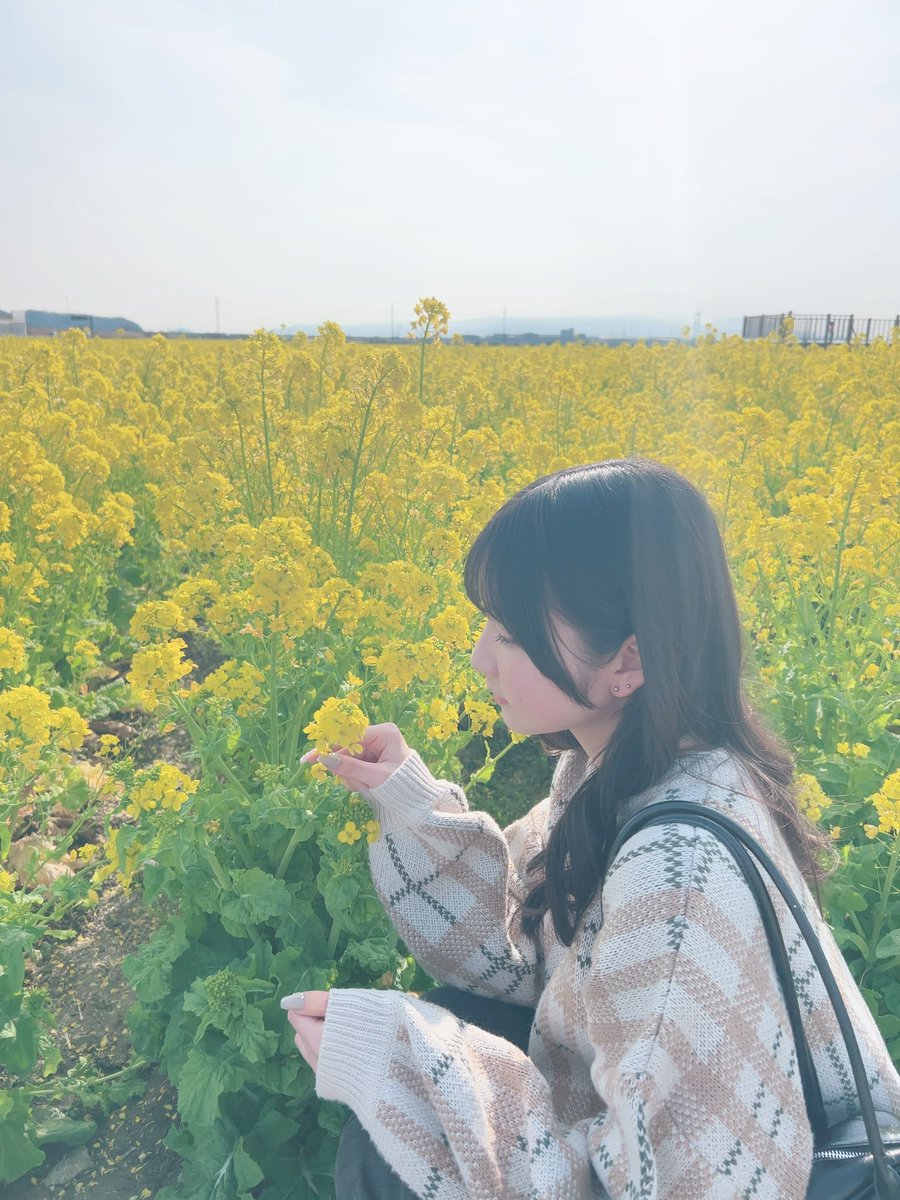 瀬田菜々美 tweet media