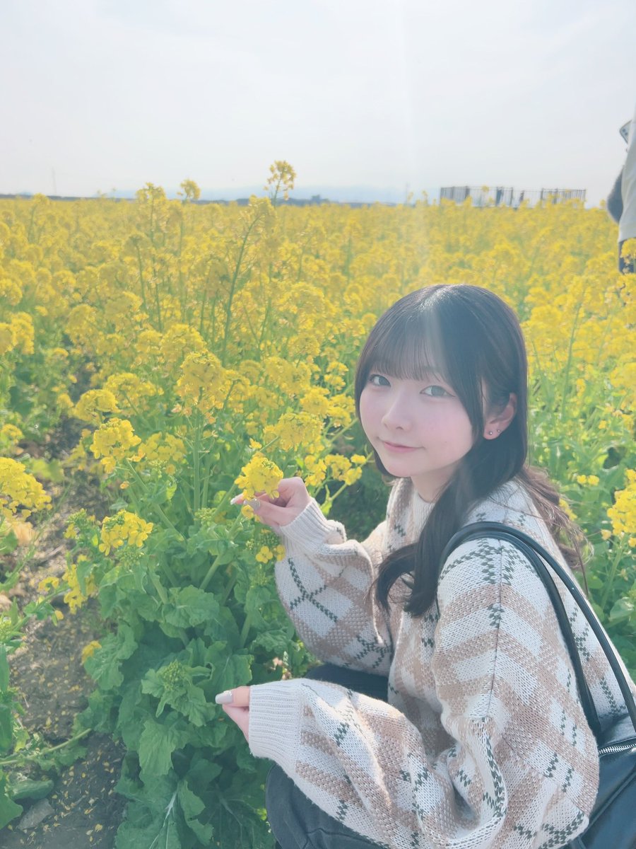 瀬田菜々美 tweet media