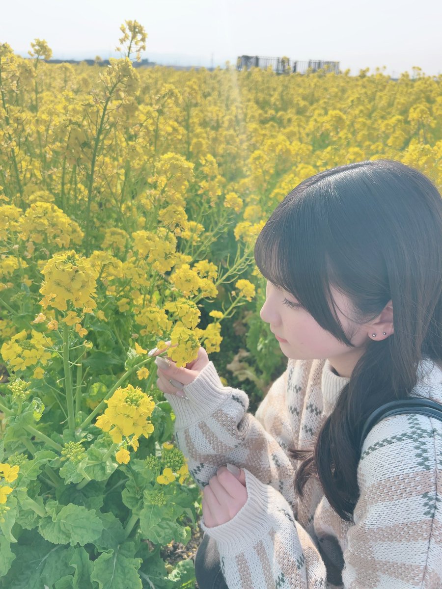 瀬田菜々美 tweet media