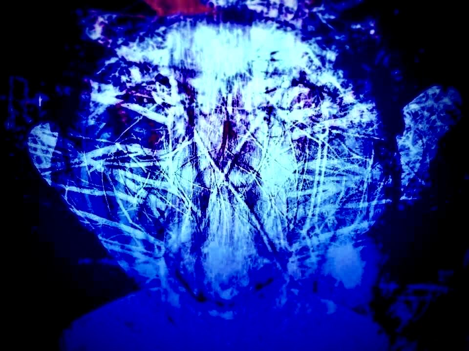 embryoroom tweet media