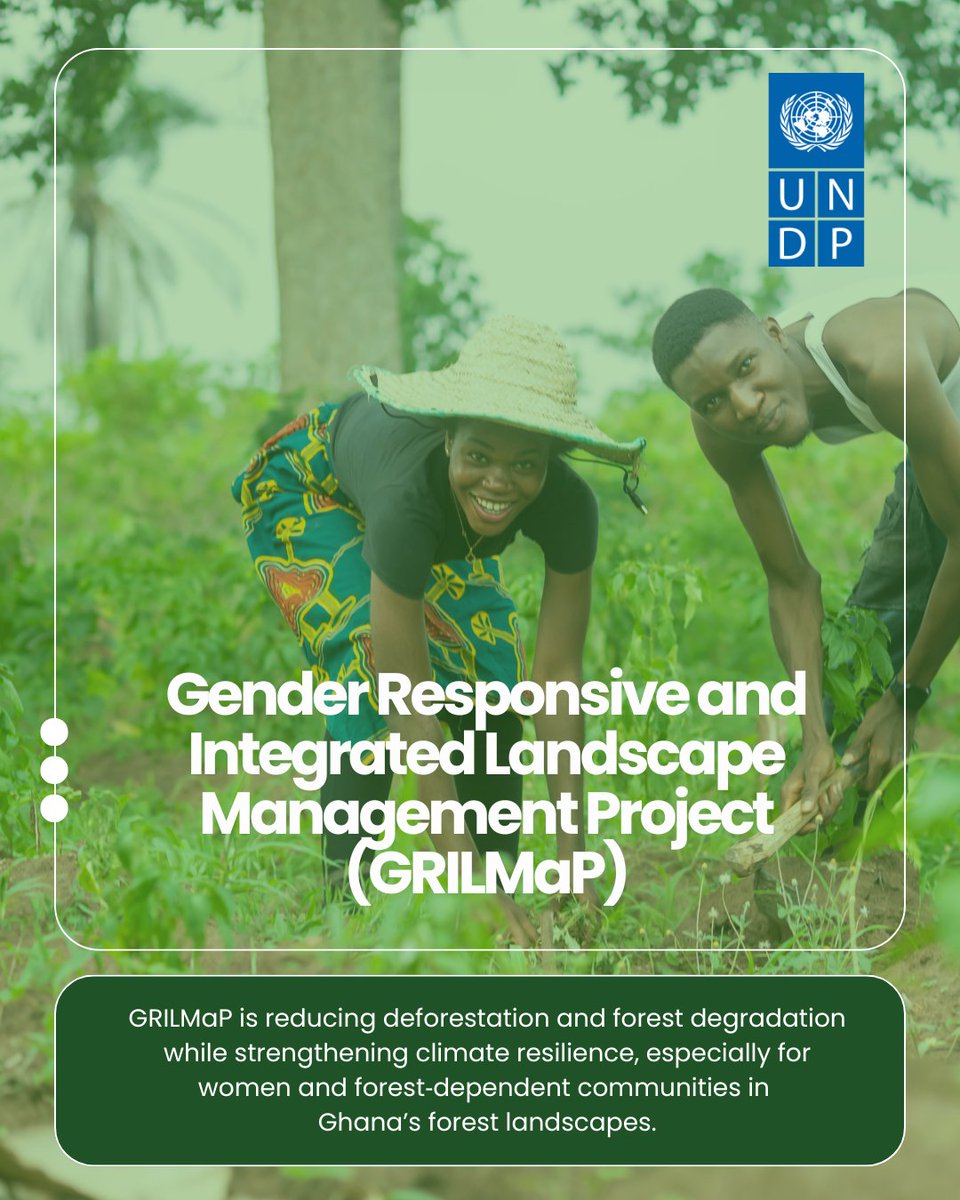 UNDP Ghana tweet media